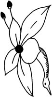 TAD113D.TIF