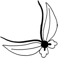 TAD113C.TIF