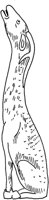 TAD111D.TIF