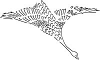 TAD111A.TIF