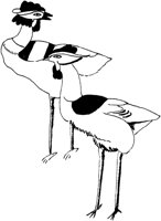 TAD107G.TIF