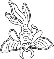 TAD091A.TIF