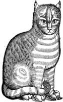 WFB037A.TIF