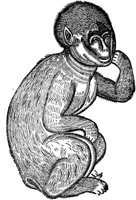 WFB036A.TIF