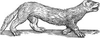 WFB032A.TIF