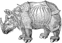 WFB031A.TIF