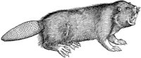 WFB030A.TIF