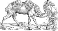WFB026A.TIF
