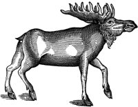 WFB022A.TIF