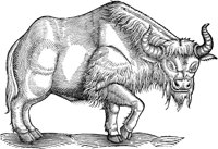 WFB018A.TIF