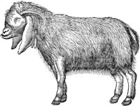 WFB017A.TIF