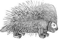WFB015B.TIF