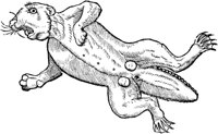 WFB015A.TIF