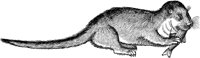 WFB014A.TIF