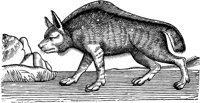 WFB013C.TIF