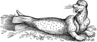 WFB009A.TIF