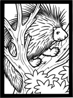 WSG008A.TIF