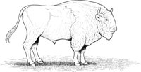 WAN046A.TIF