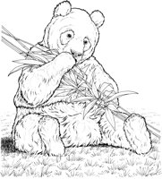 WAN039A.TIF