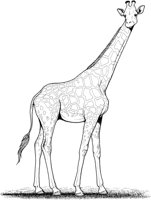 WAN026A.TIF