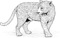 WAN014A.TIF