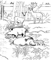ZAN031A.TIF