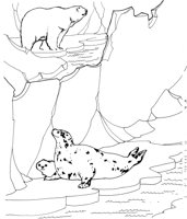 ZAN028A.TIF