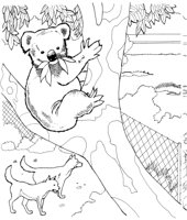 ZAN026A.TIF