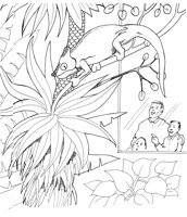 ZAN021A.TIF