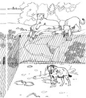 ZAN015A.TIF