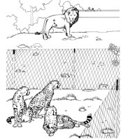 ZAN014A.TIF