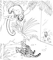 ZAN013A.TIF