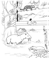 ZAN010A.TIF