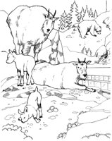 ZAN006A.TIF