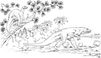 DOD026A.TIF