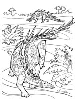 DAB016A.TIF