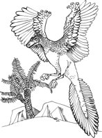 DCB014A.TIF