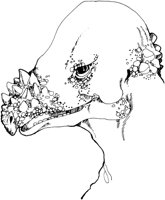 DCB007A.TIF