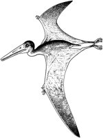 DPM009A.TIF