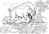 PRM019A.TIF