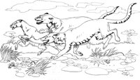 PRM014A.TIF