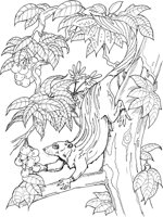 PRM006A.TIF