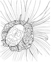 ICB033A.TIF