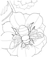 ICB020A.TIF