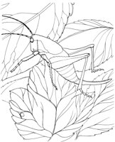 ICB016A.TIF