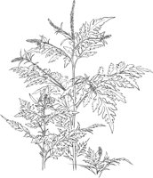 CWD038A.TIF