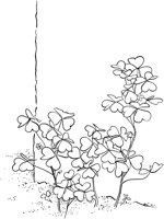 CWD027A.TIF