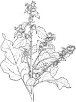 CWD014A.TIF