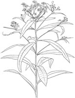 CWD002A.TIF