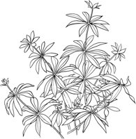 HRB030A.TIF